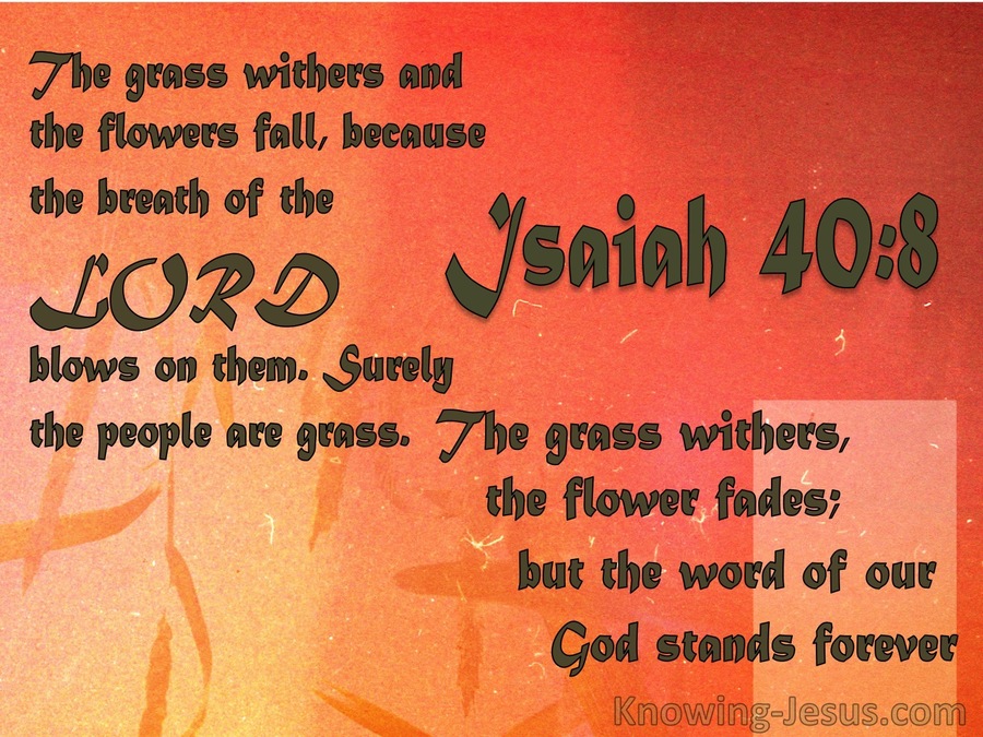Isaiah 40:8 Flowers Fade : God's Word Stands (orange)